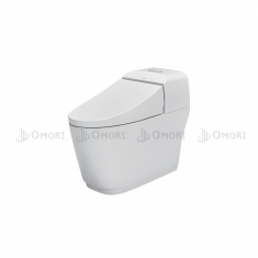 Bồn cầu Inax AC-1032VN, omori.vn