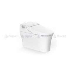 Bồn Cầu Điện Tử American Standard WP-5017 Aerozen G2