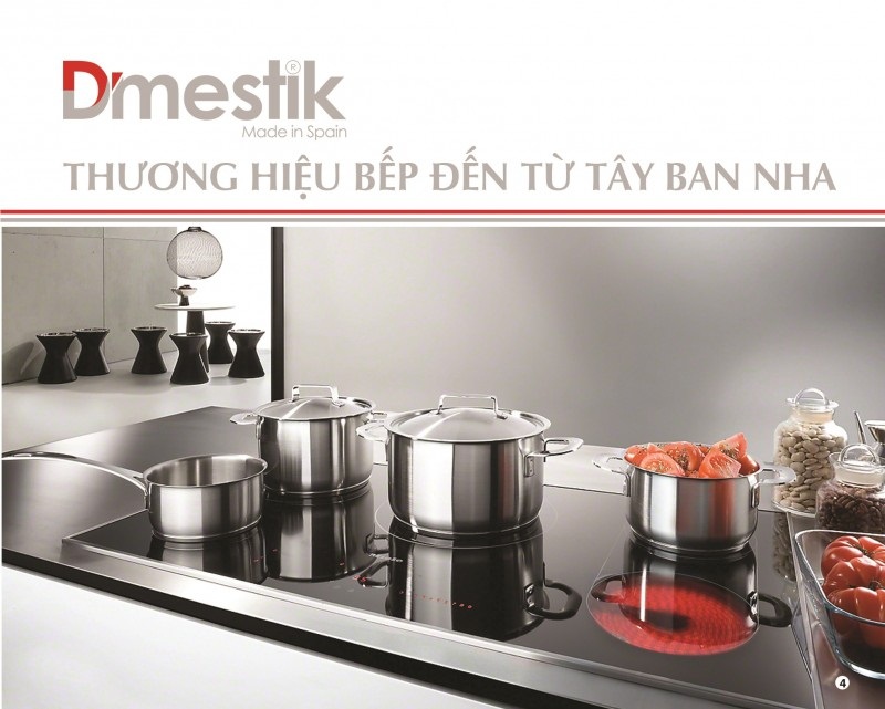 BẾP TỪ DMESTIK ES 828DKI (NA 772IB)