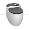 Bồn cầu liền khối nắp UF TOZU  BC_TZ02
