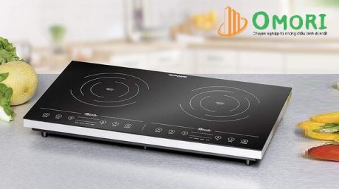 Bếp từ đôi loại nào tốt