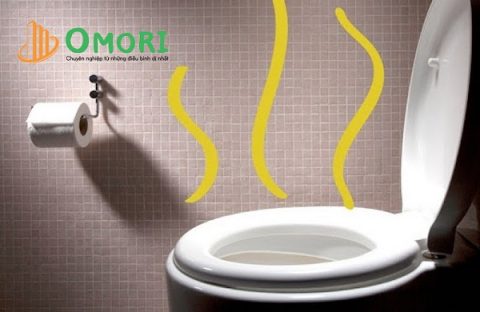 Cách thông bồn cầu bị nghẹt tại nhà