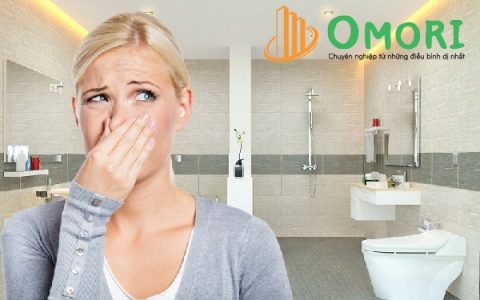 Cách xử lý bồn cầu bị hôi hiệu quả ngay tại nhà