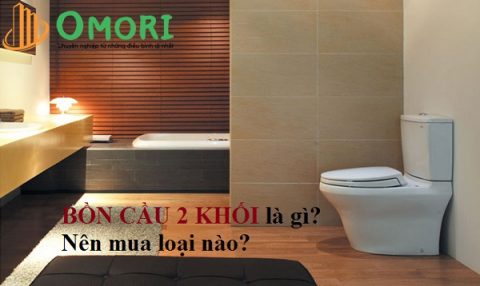5 mẫu bồn cầu 2 khối giá rẻ nên mua