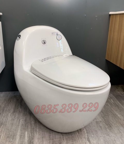 Bồn cầu 1 khối KB-R2009