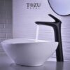 Vòi lavabo cao cấp TOZU T2112CFL3H