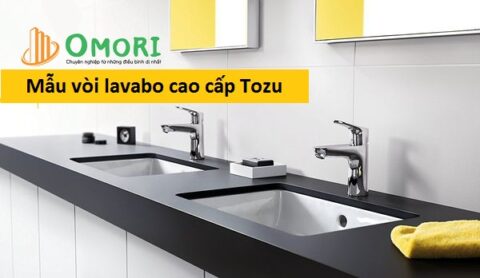 mẫu vòi lavabo cao cấp Tozu được ưa chuộng nhất