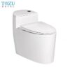 Bồn cầu liền khối TOZU  BC_TZ38
