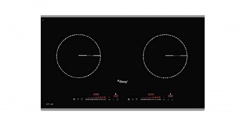 Bếp từ Canzy CZ 06I