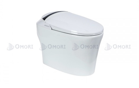 Bồn cầu cao cấp ESINC ES 770D