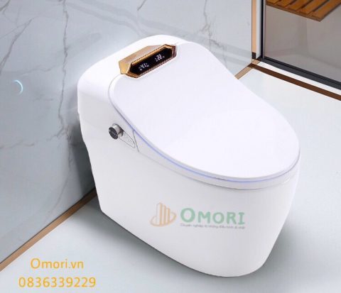 Bồn cầu cảm ứng Kobesi KB-Q09