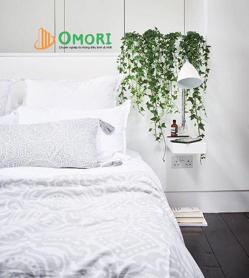 cây thường xuân