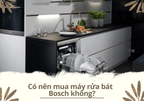 co-nen-mua-may-rua-bat-bosch-de-su-dung-hay-khong-7